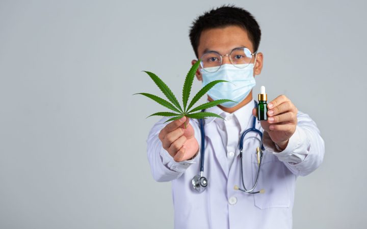 medical doctor holding cannabis leaf and bottle of cannabis oil on white background.